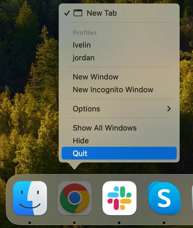 quit chrome using the dock