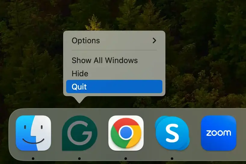 salir de la aplicación gramatical desde el muelle