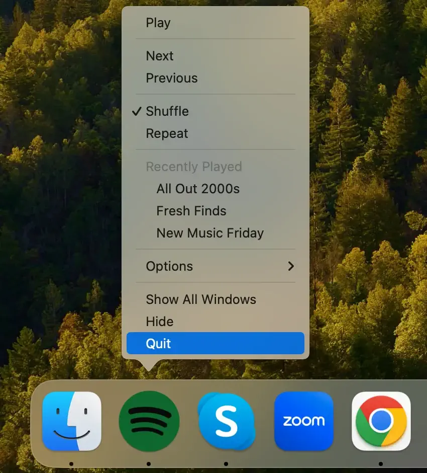 avsluta spotify-appen