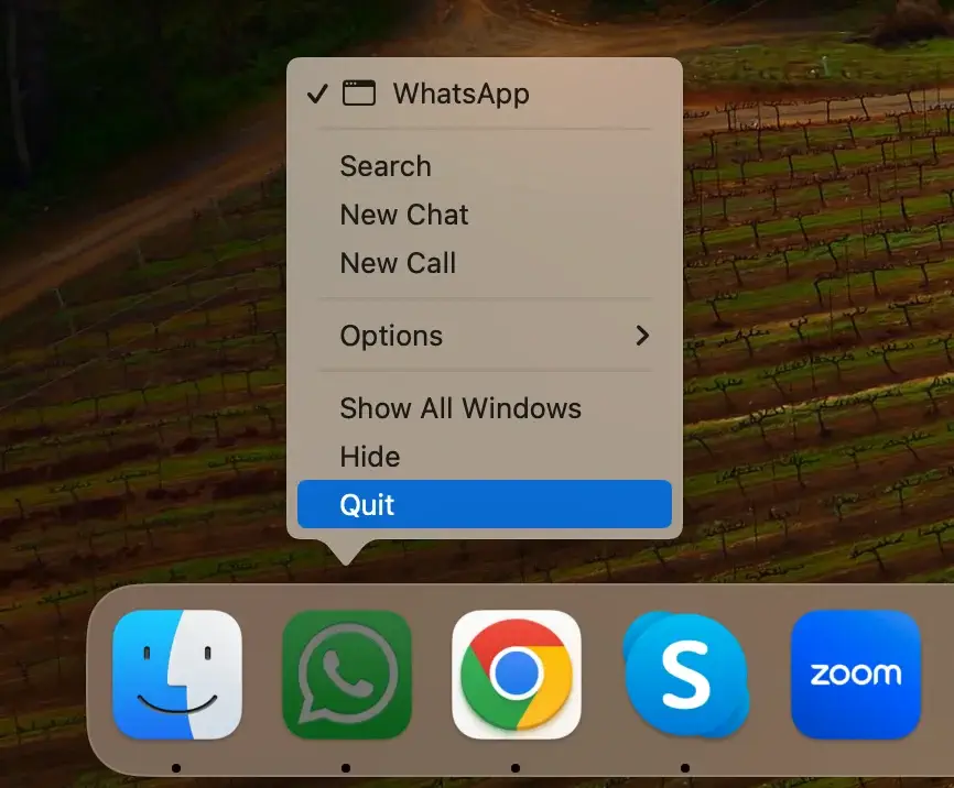 quit whatsapp app from dock