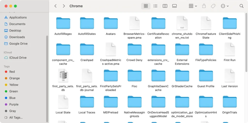 the library application support google chrome folder