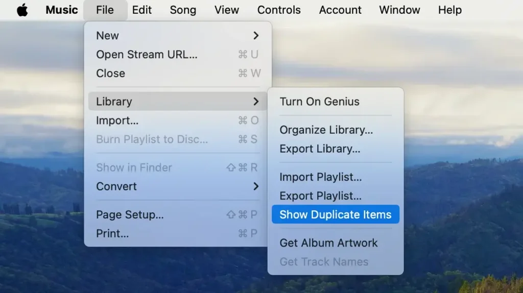 find exact duplicates within the music app
