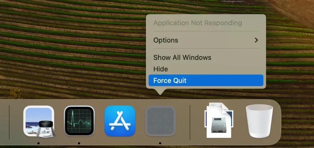 forcer à quitter l'application gelée à partir du menu du Dock