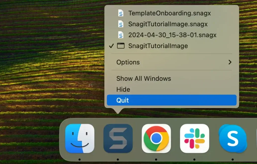 quitter l'application Snagit