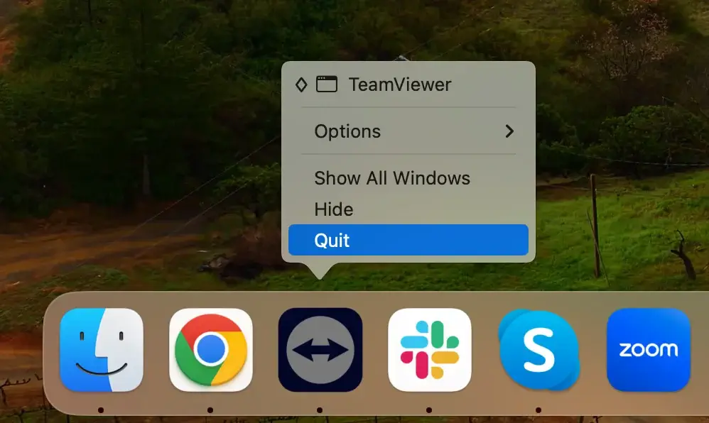 afslut teamviewer-applikationen