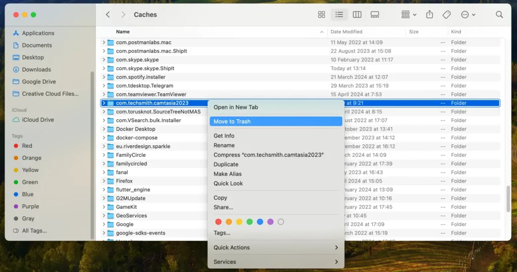 eliminar archivos relacionados con camtasia