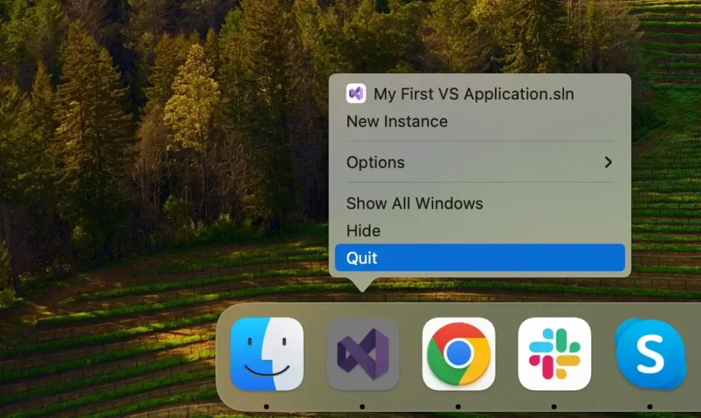 quit visual studio from dock
