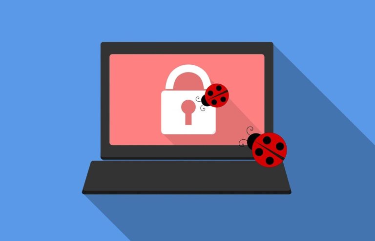 laptop locked by malicious bugs