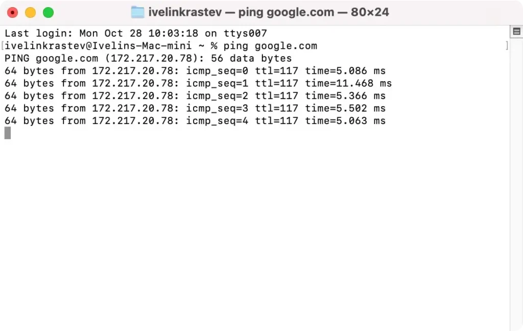 ping command in terminal window