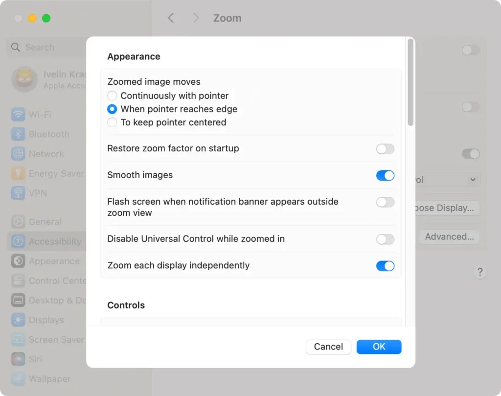 accessibility feeatures advanced zooming settings window