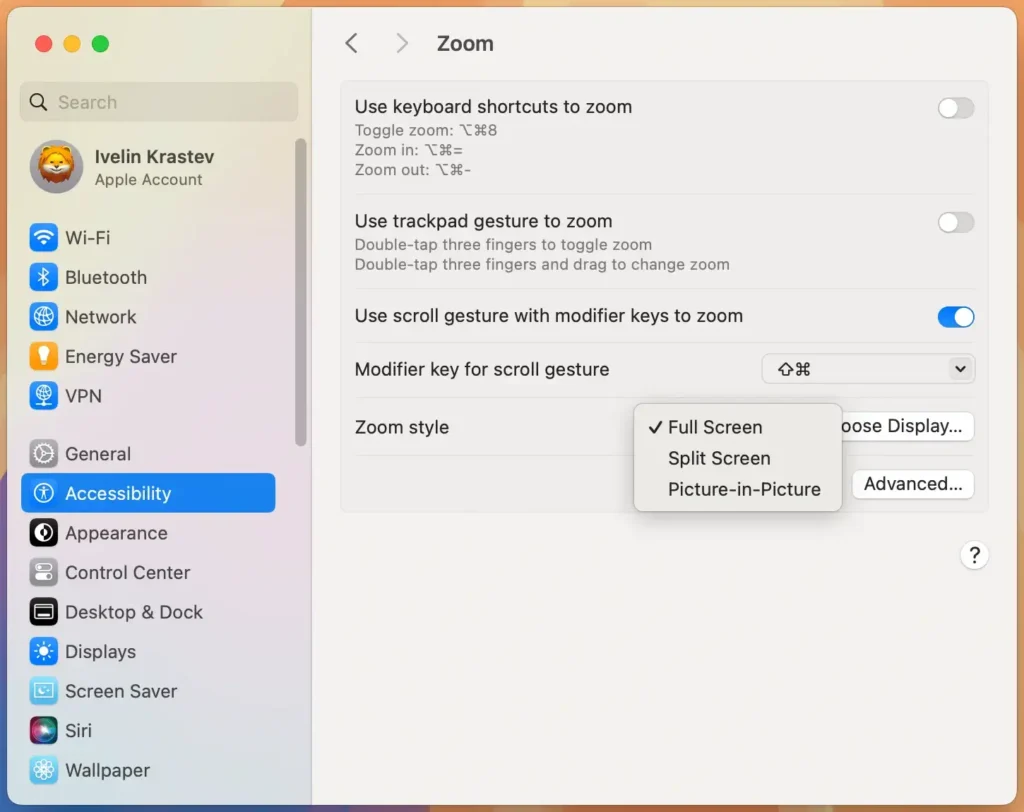 accessibility zoom style settings